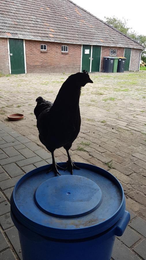 Apartamento Logeerruimte In Gerenoveerde Boerderij In Wachtum Exterior foto