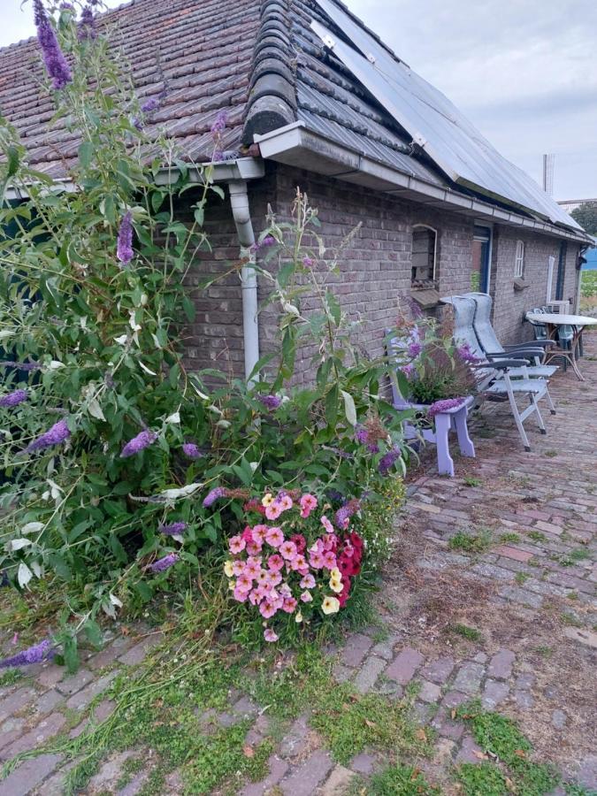 Apartamento Logeerruimte In Gerenoveerde Boerderij In Wachtum Exterior foto